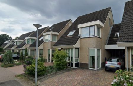 Voorkant Reuzenstern google 450x292